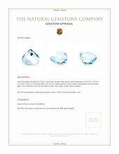 23.63 Ct. Topaz from Brazil Appraisal