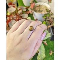 4.24 Ct. Cabochon Tiger's Eye from South Africa Life Style