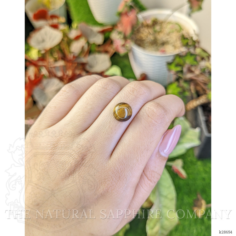 4.24 Ct. Cabochon Tiger's Eye from South Africa
