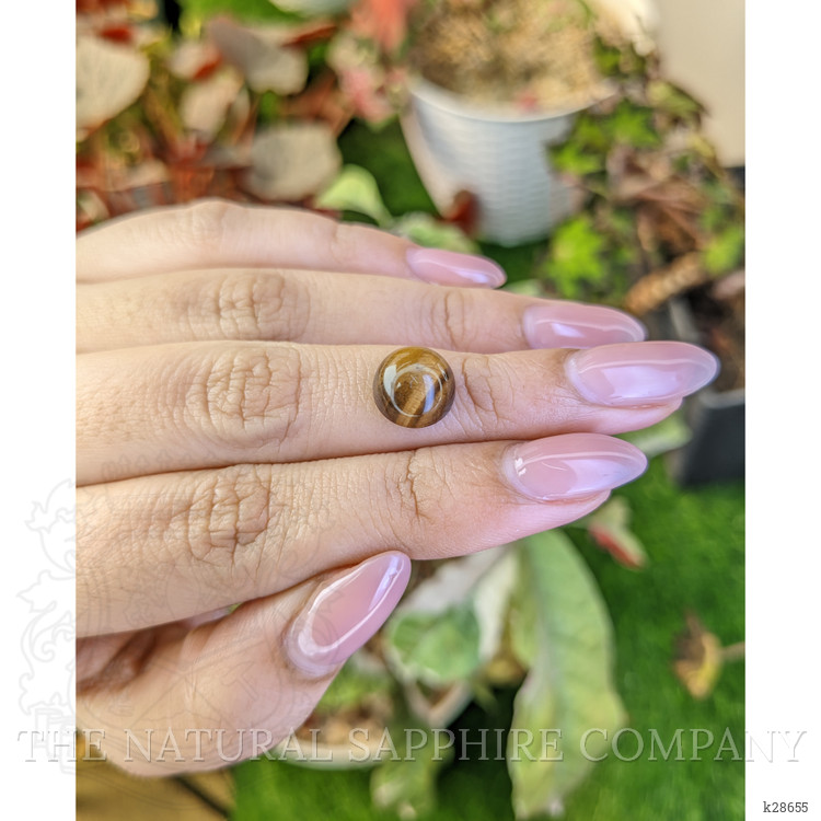 4.30 Ct. Cabochon Tiger's Eye from South Africa