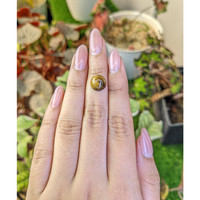 4.30 Ct. Cabochon Tiger's Eye from South Africa Life Style