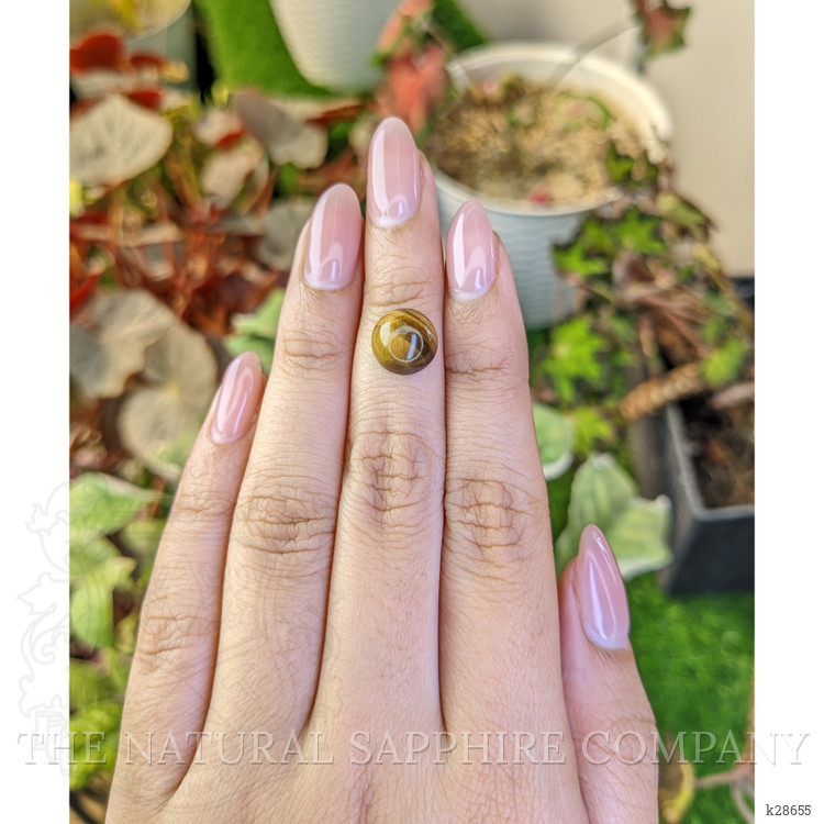 4.30 Ct. Cabochon Tiger's Eye from South Africa