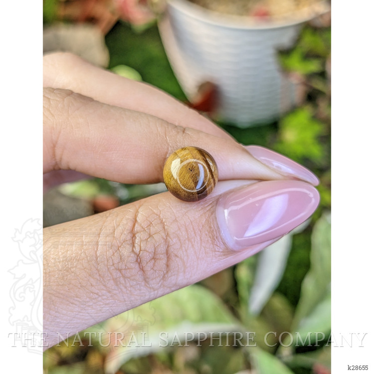 4.30 Ct. Cabochon Tiger's Eye from South Africa