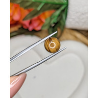 4.30 Ct. Cabochon Tiger's Eye from South Africa Life Style