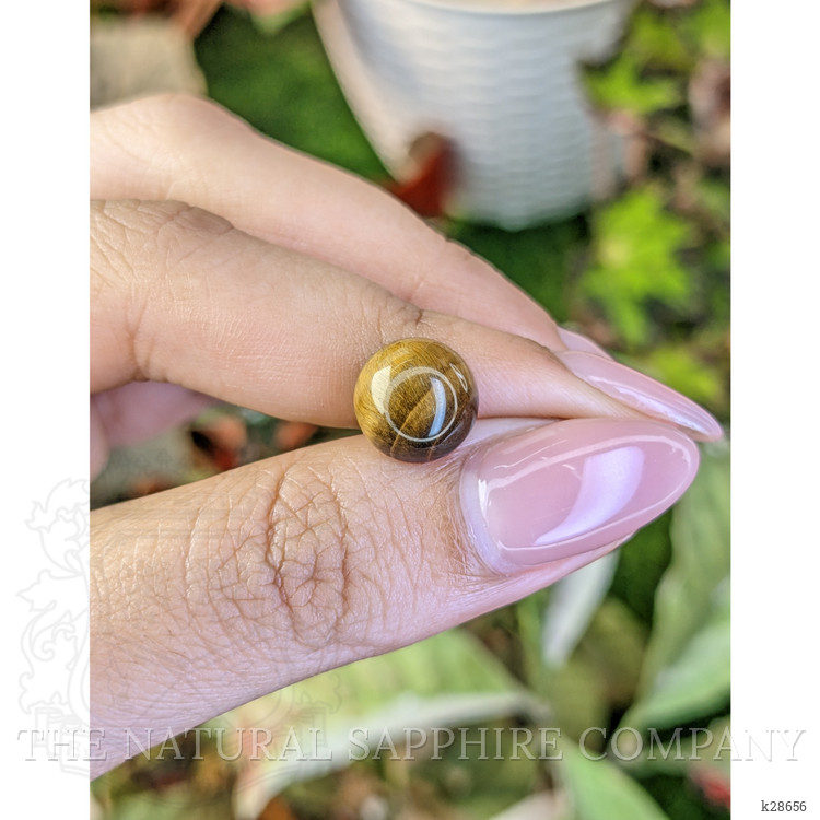 4.38 Ct. Cabochon Tiger's Eye from South Africa