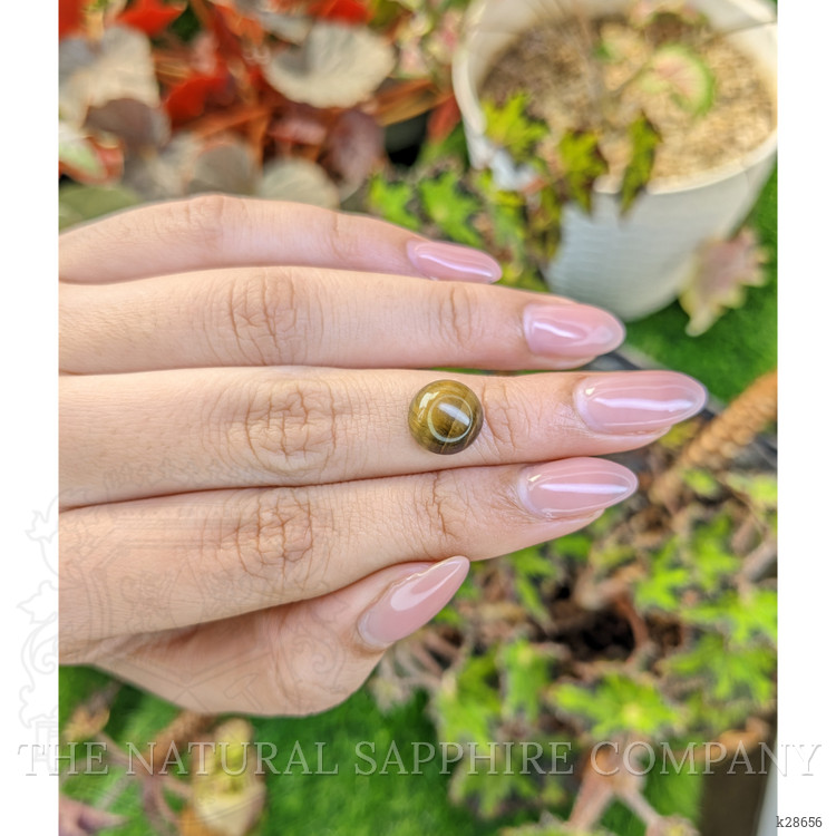 4.38 Ct. Cabochon Tiger's Eye from South Africa