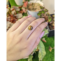 4.38 Ct. Cabochon Tiger's Eye from South Africa Life Style