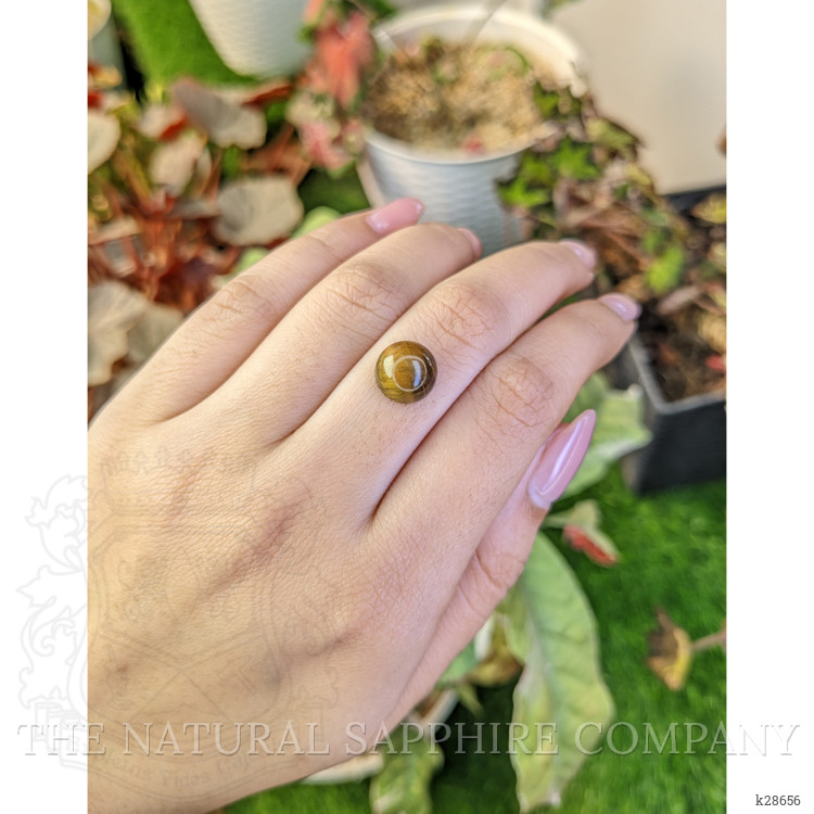 4.38 Ct. Cabochon Tiger's Eye from South Africa