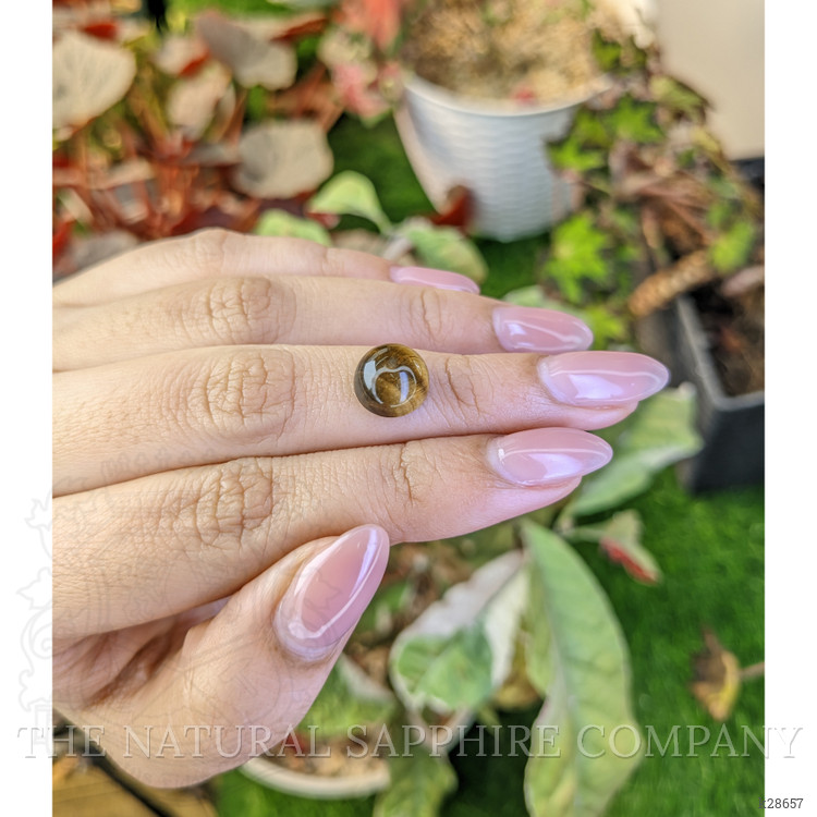 4.36 Ct. Cabochon Tiger's Eye from South Africa