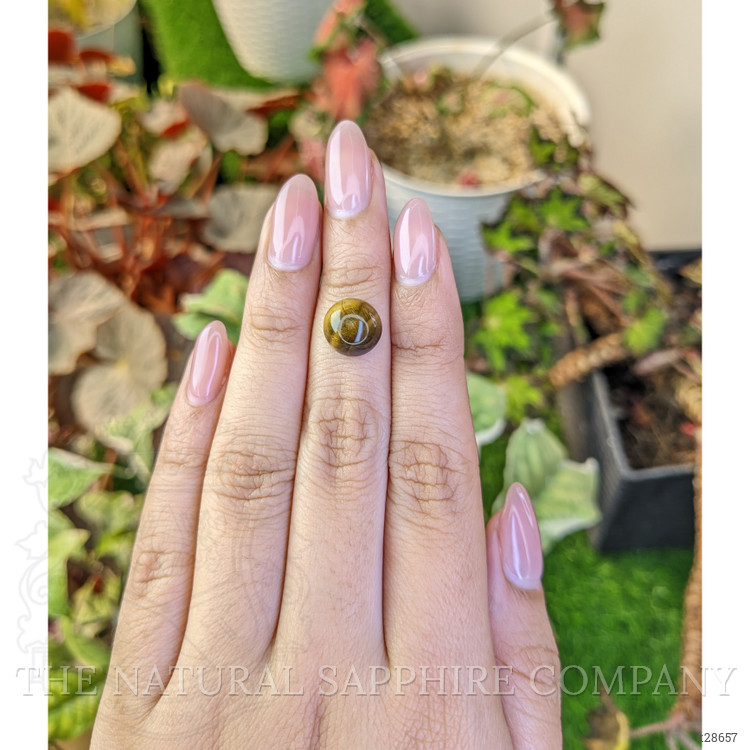 4.36 Ct. Cabochon Tiger's Eye from South Africa