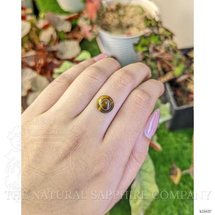 4.36 Ct. Cabochon Tiger's Eye from South Africa