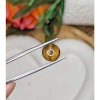 4.36 Ct. Cabochon Tiger's Eye from South Africa Life Style