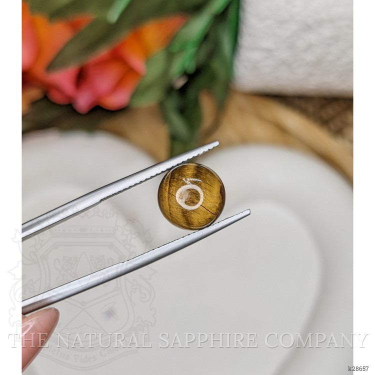 4.36 Ct. Cabochon Tiger's Eye from South Africa