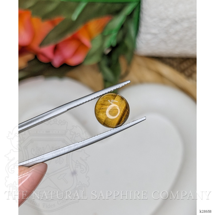 4.33 Ct. Cabochon Tiger's Eye from South Africa