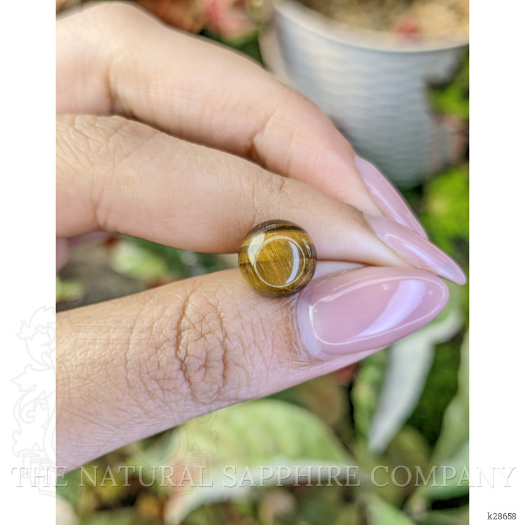 4.33 Ct. Cabochon Tiger's Eye from South Africa