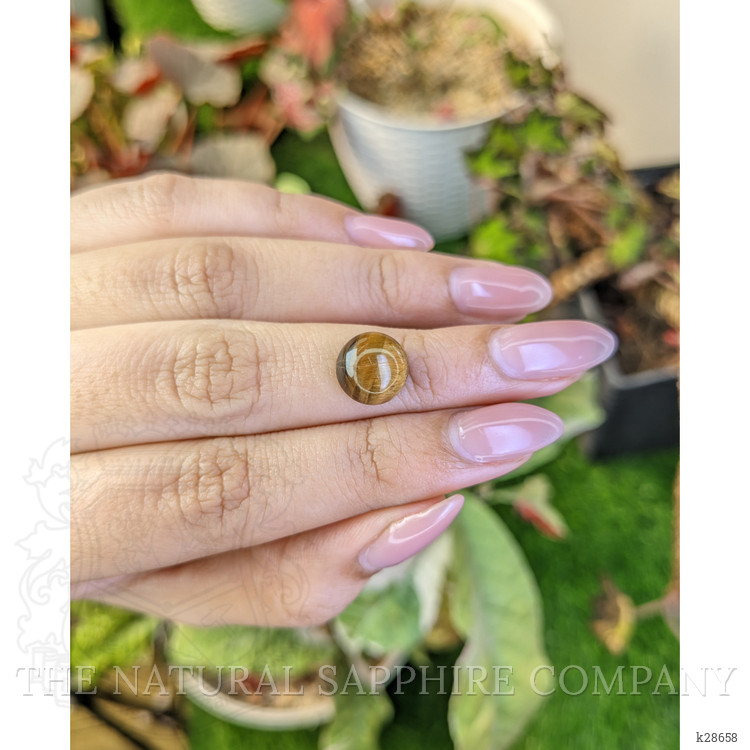 4.33 Ct. Cabochon Tiger's Eye from South Africa
