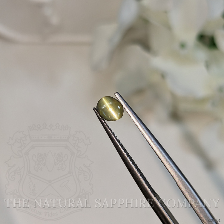 0.52 Ct. Yellowish Green Cabochon Chrysoberyl from Ceylon (Sri Lanka)