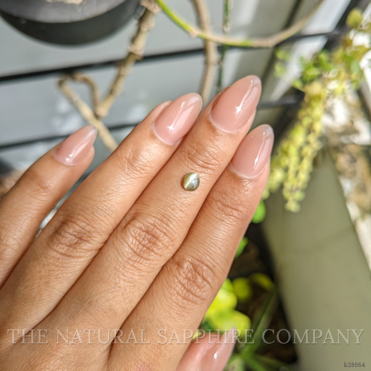 0.52 Ct. Yellowish Green Cabochon Chrysoberyl from Ceylon (Sri Lanka)
