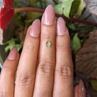 0.52 Ct. Yellowish Green Cabochon Chrysoberyl from Ceylon (Sri Lanka) Life Style