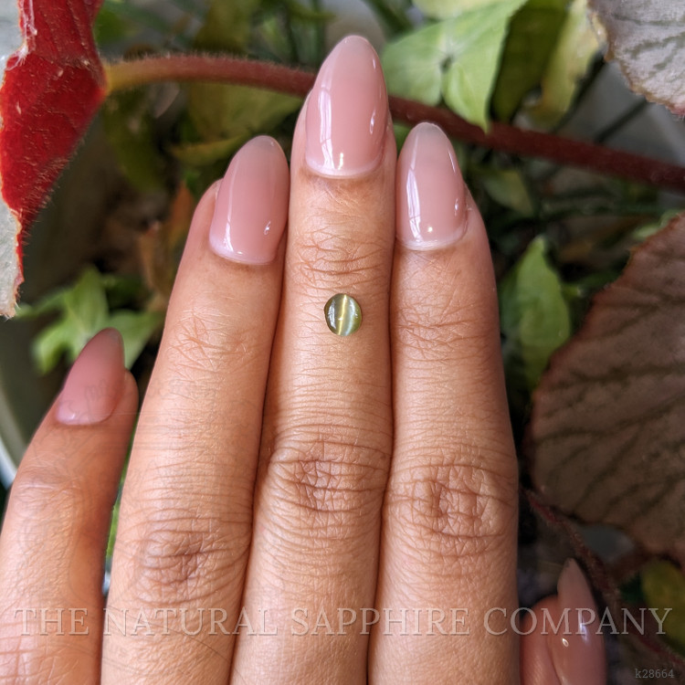 0.52 Ct. Yellowish Green Cabochon Chrysoberyl from Ceylon (Sri Lanka)