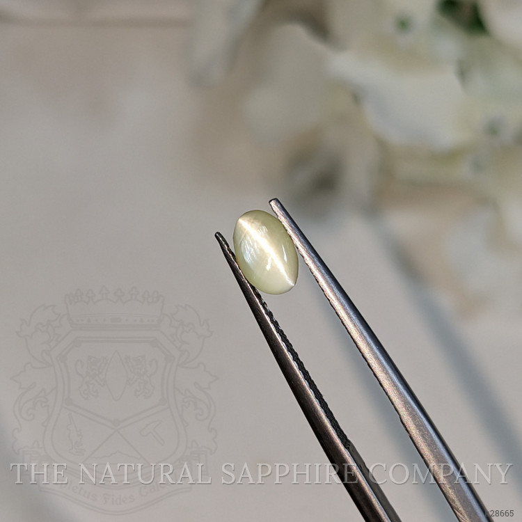 0.83 Ct. Yellowish Green Cabochon Chrysoberyl from Ceylon (Sri Lanka)