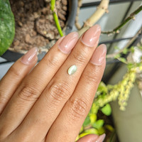 0.83 Ct. Yellowish Green Cabochon Chrysoberyl from Ceylon (Sri Lanka) Life Style