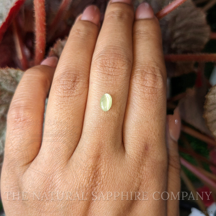 0.83 Ct. Yellowish Green Cabochon Chrysoberyl from Ceylon (Sri Lanka)
