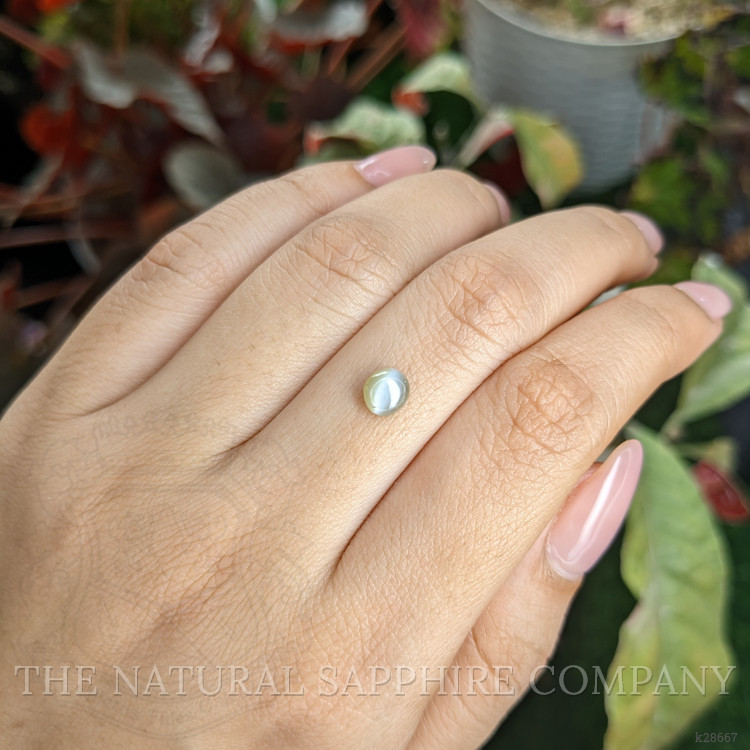 0.82 Ct. Yellowish Green Cabochon Chrysoberyl from Ceylon (Sri Lanka)