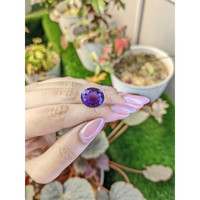 11.67 Ct. Purple Amethyst from Brazil Life Style