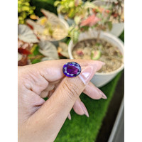 9.41 Ct. Purple Amethyst from Brazil Life Style