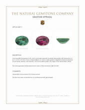0.60 Ct. Alexandrite from Brazil Appraisal