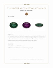 0.62 Ct. Alexandrite from Brazil Appraisal