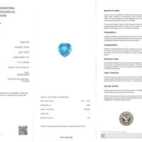 17.13 Ct. Swiss Blue Topaz from Brazil Scan Report