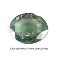 1.06 Ct. Alexandrite from Ceylon (Sri Lanka) Video