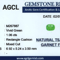 1.06 Ct. Tsavorite Garnet from Kenya Scan Report