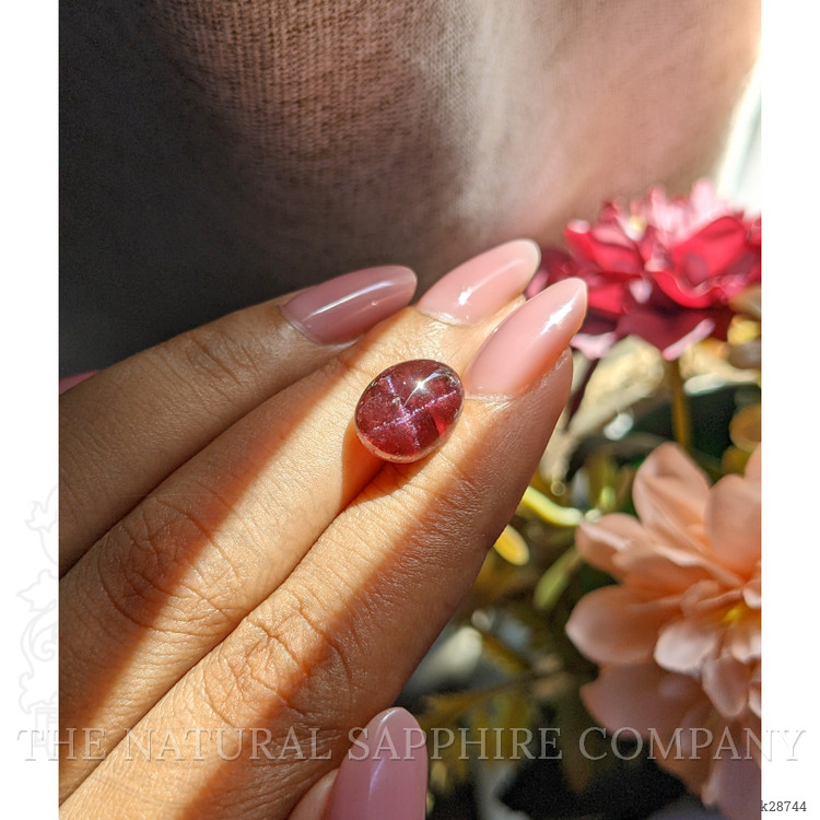7.99 Ct. Purplish Red Star Garnet from Ceylon (Sri Lanka)