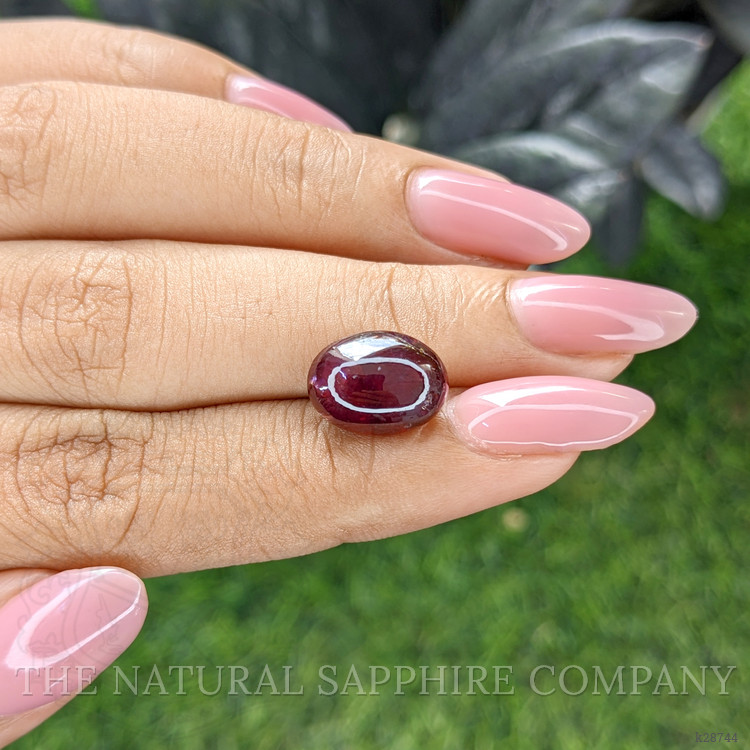 7.99 Ct. Purplish Red Star Garnet from Ceylon (Sri Lanka)
