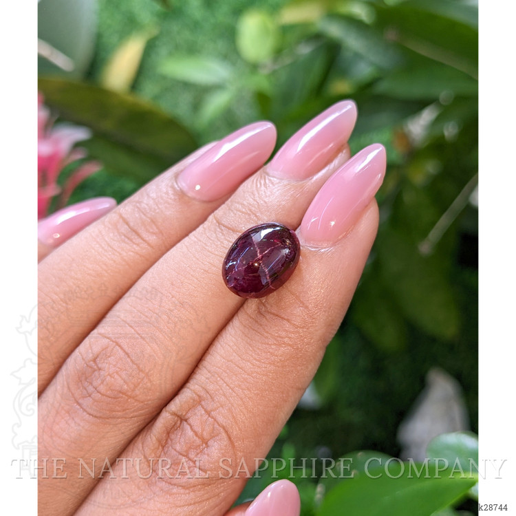 7.99 Ct. Purplish Red Star Garnet from Ceylon (Sri Lanka)