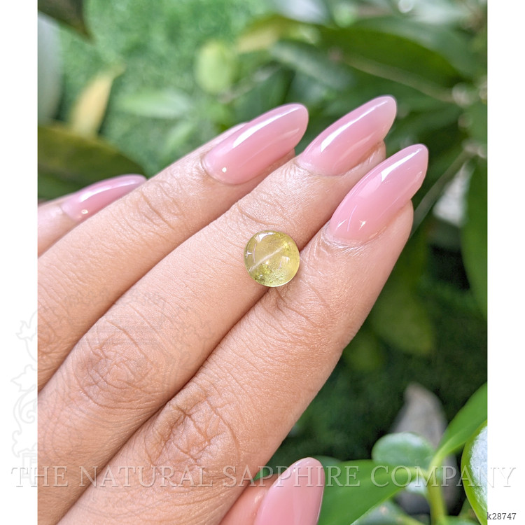 2.28 Ct. Greenish Yellow Cabochon Chrysoberyl from Ceylon (Sri Lanka)