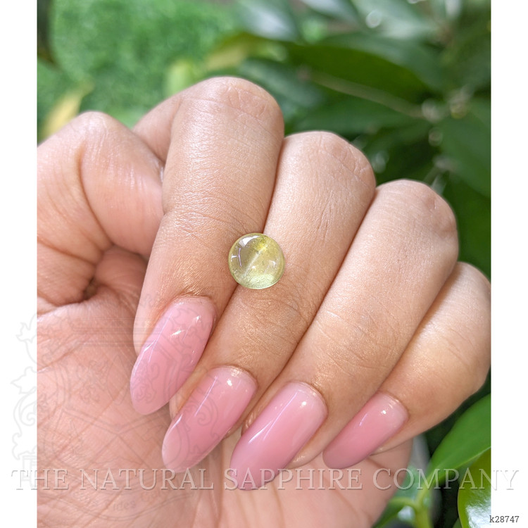 2.28 Ct. Greenish Yellow Cabochon Chrysoberyl from Ceylon (Sri Lanka)