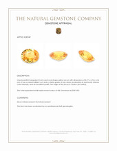 2.65 Ct. Yellow Zircon from Ceylon (Sri Lanka) Appraisal