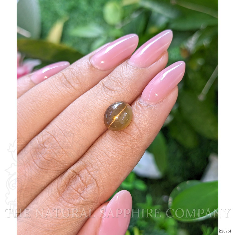3.65 Ct. Yellowish Brown Cabochon Apatite from Ceylon (Sri Lanka)