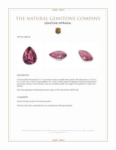 3.13 Ct. Purplish Pink Garnet from Ceylon (Sri Lanka) Appraisal