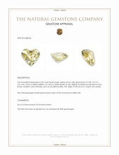 5.00 Ct. Yellow Zircon from Ceylon (Sri Lanka) Appraisal