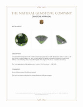 2.70 Ct. Green Zircon from Ceylon (Sri Lanka) Appraisal