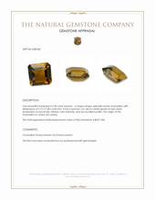 4.28 Ct. Yellowish Brown Tourmaline from Ceylon (Sri Lanka) Appraisal