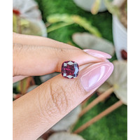 2.89 Ct. Purplish Red Garnet from Ceylon (Sri Lanka) Life Style