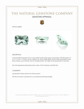 25.43 Ct. Bluish Green Aquamarine from Tanzania Appraisal