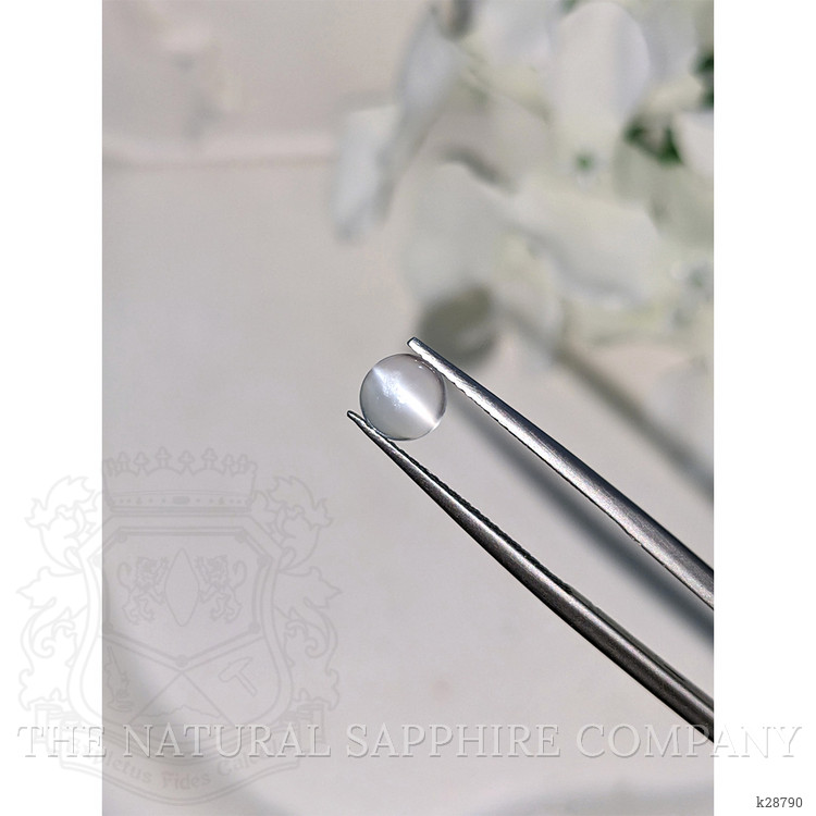 0.80 Ct. White Cabochon Moonstone from Ceylon (Sri Lanka)