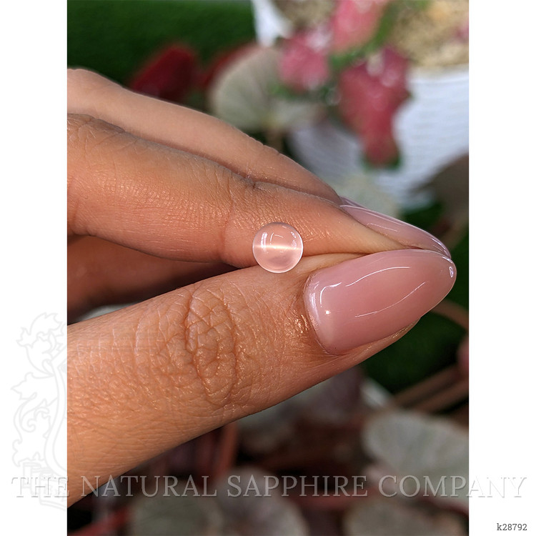1.00 Ct. White Cabochon Moonstone from Ceylon (Sri Lanka)